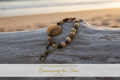 Romancing the Stone hero
