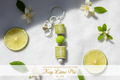 Key Lime Pie – Coastal Bloom Collection No. 024 styled product image
